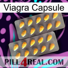 Viagra Capsule cialis2